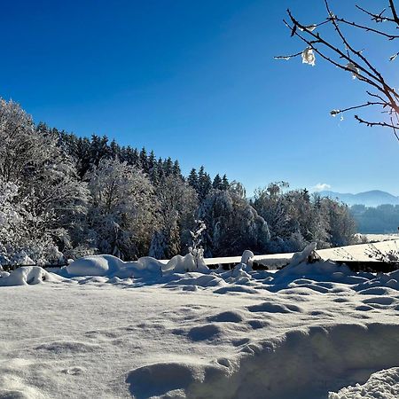 Landsitz Rocky Docky Villa Niedersonthofen Bagian luar foto