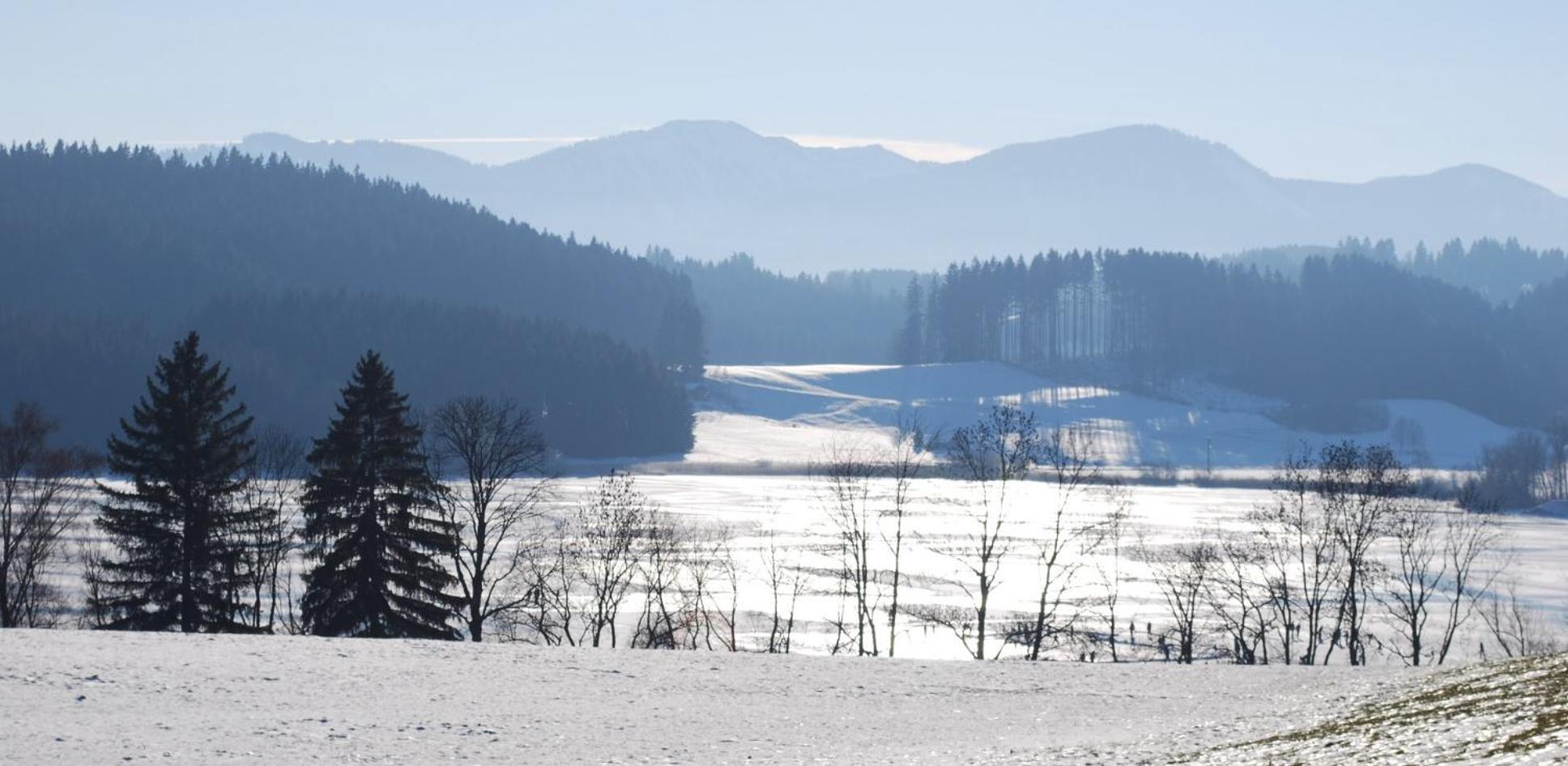 Landsitz Rocky Docky Villa Niedersonthofen Bagian luar foto