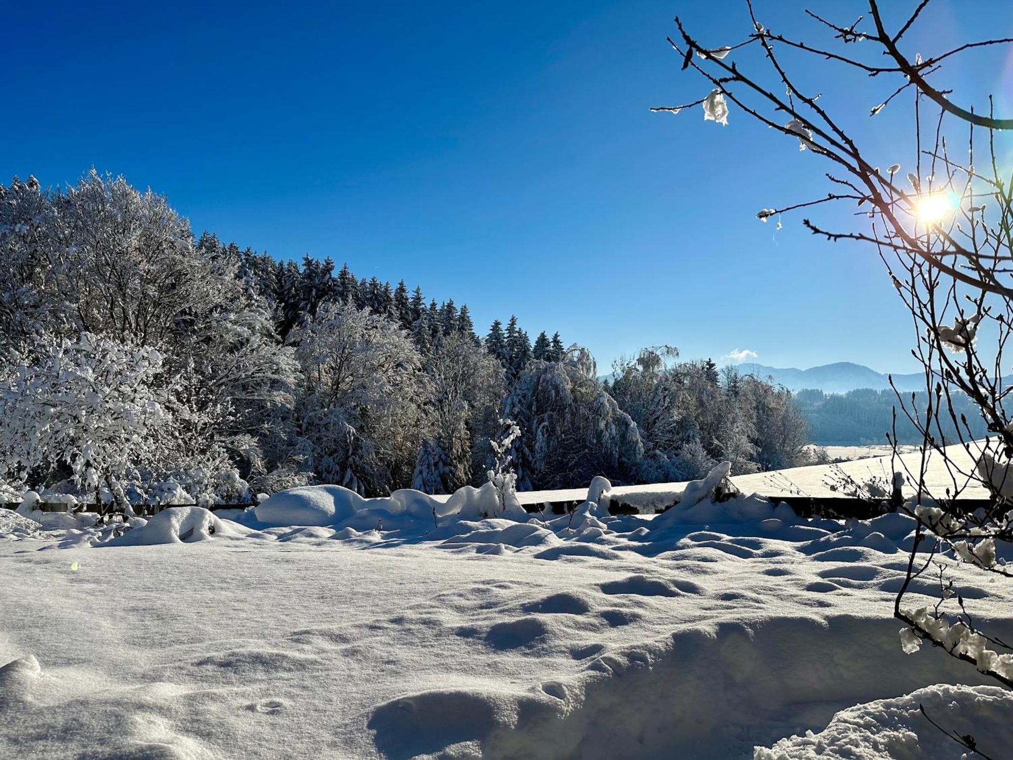 Landsitz Rocky Docky Villa Niedersonthofen Bagian luar foto